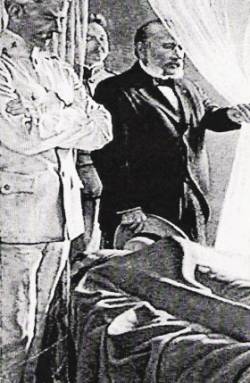 Amort (USA) : Dschungel - Fieber